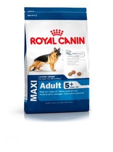 mas-que-piensos-royal-canin